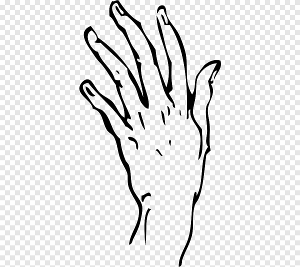 Рука человека