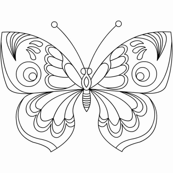 Раскраска "бабочки"