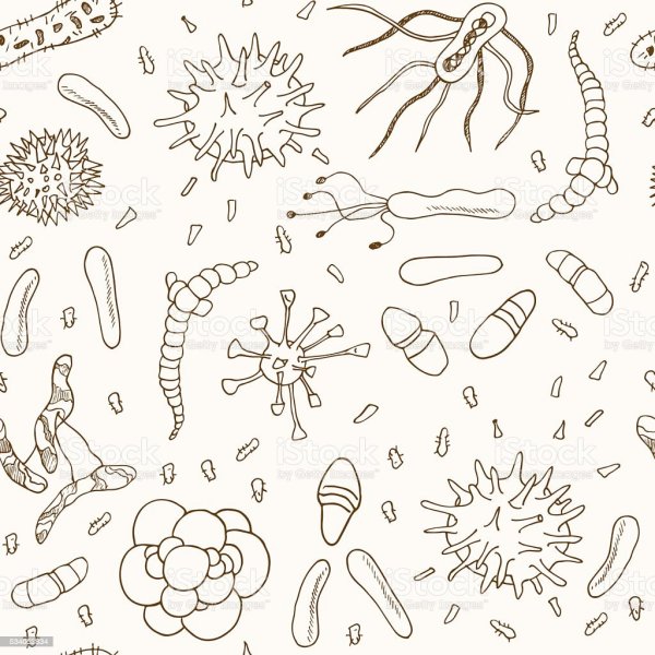 Бактерии паттерн