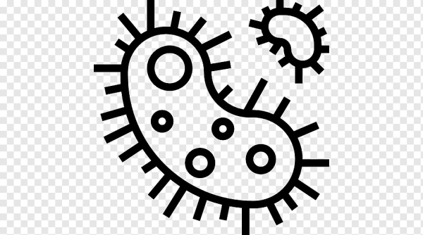 Бактерии контур