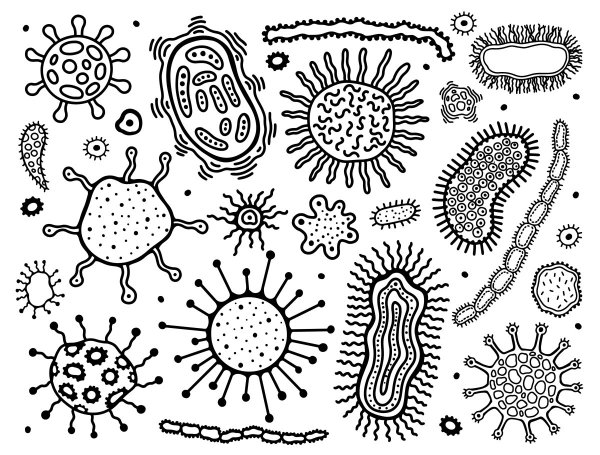 Бактерии раскраска для детей