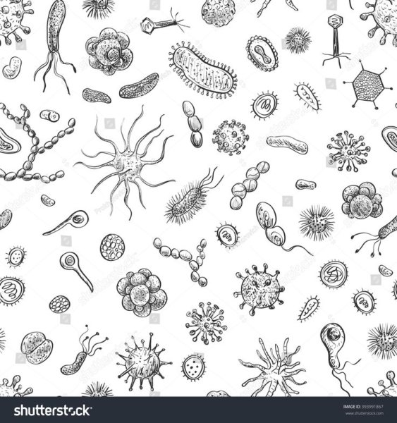 Бактерии паттерн