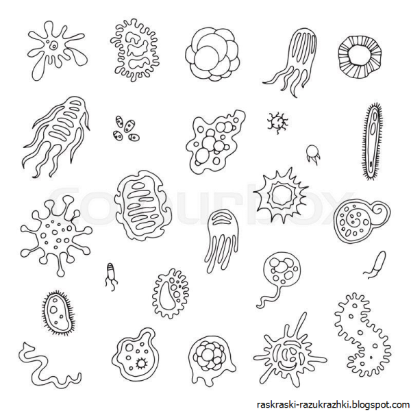 Микробы задания для дошкольников