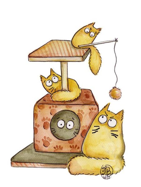 Maria van Bruggen смешные коты