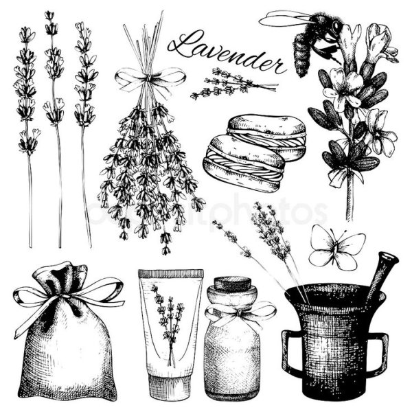 Графика сухие травы