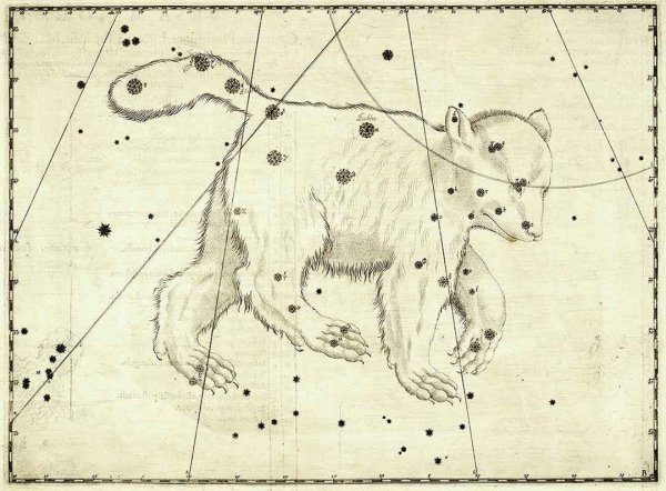 Созвездие большой медведицы рисунок