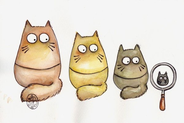 Коты Maria van Bruggen