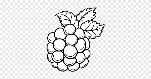 Малина раскраска