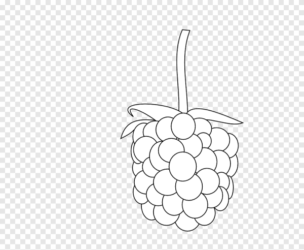 Малина раскраска