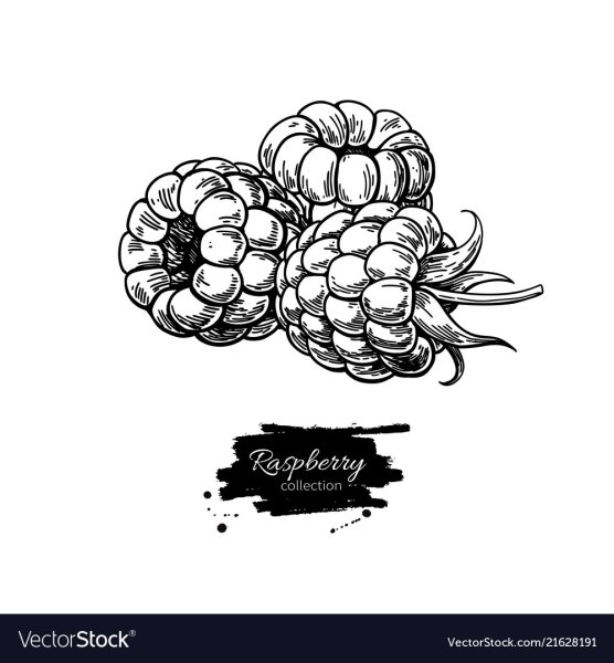 Малина стилизация