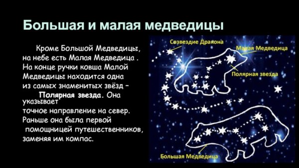Большая и малая Медведица