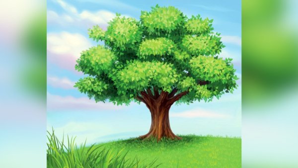 Дерево рисунок