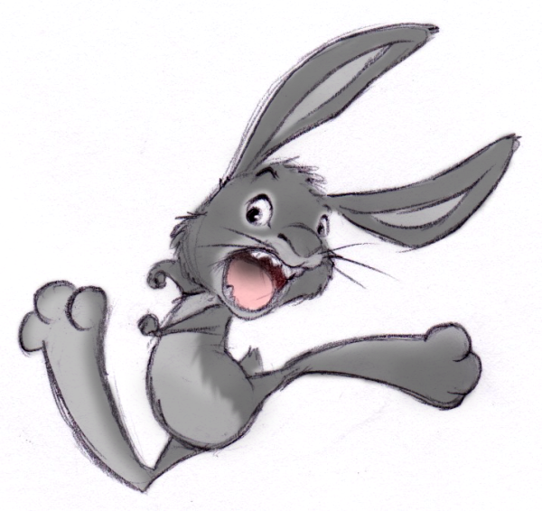 Забавные зайцы