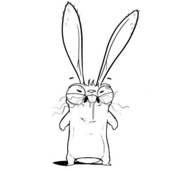 Злой заяц рисунок