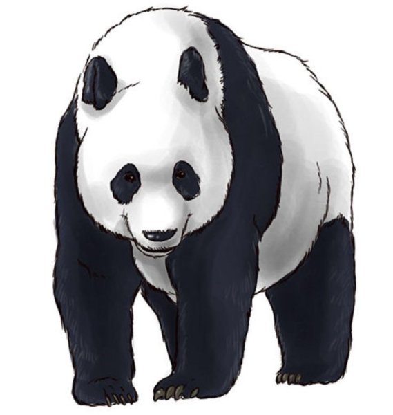 Панда рисунок