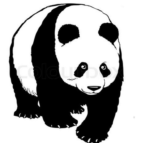 Очертания панды