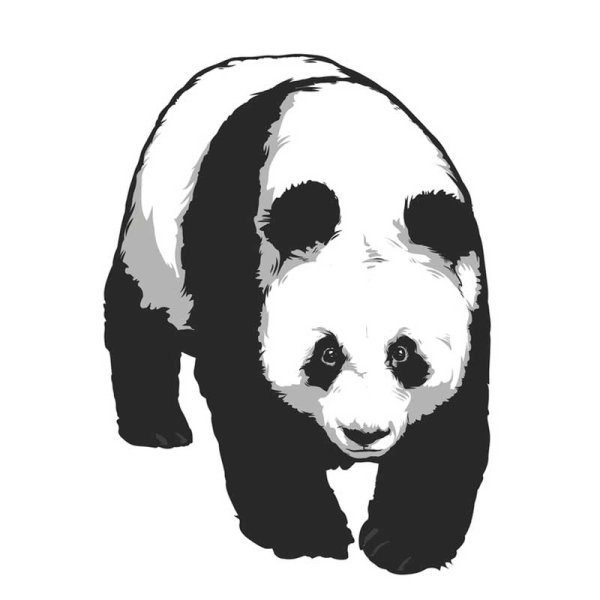 Панда на белом фоне