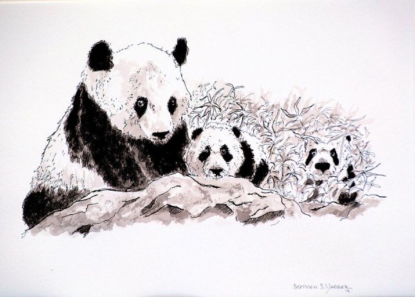 Панда зарисовка