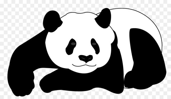 Панда вектор