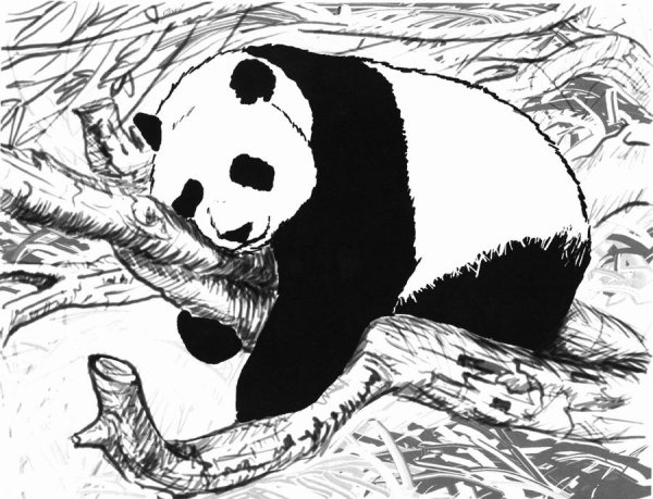 Графическое изображение панды