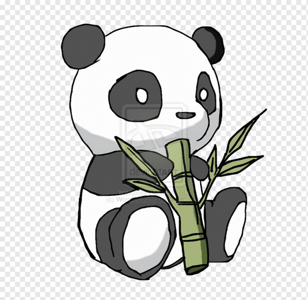 Панда рисунок