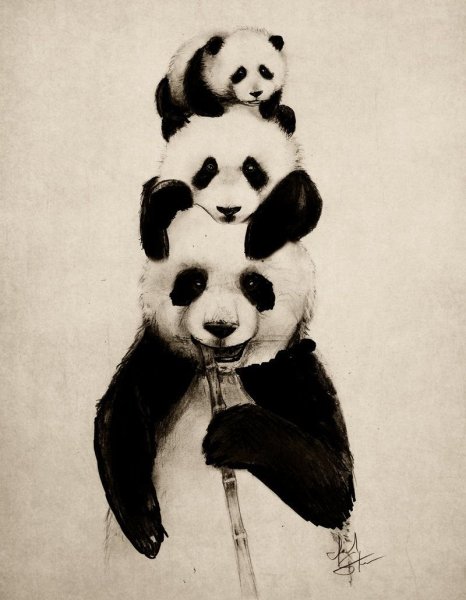 Пандочки на друг друге