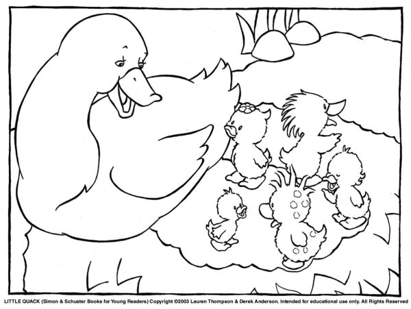 Гадкий утенок на птичьем дворе раскраска