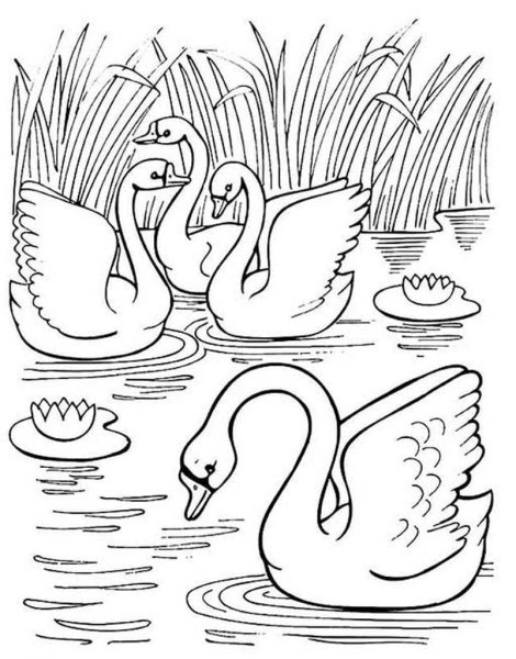 Приёмыш мамин Сибиряк раскраска