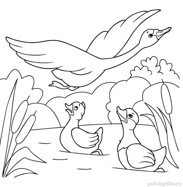 Г Х Андерсен Гадкий утенок раскраска