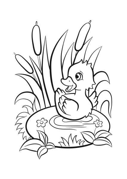 Разукрашки уток в цветах