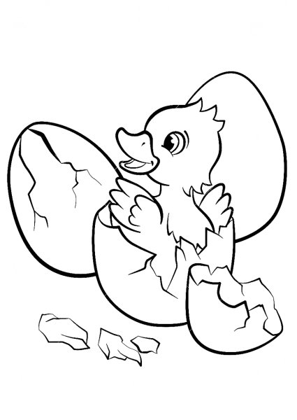 Цыпленок вылупляется раскраска