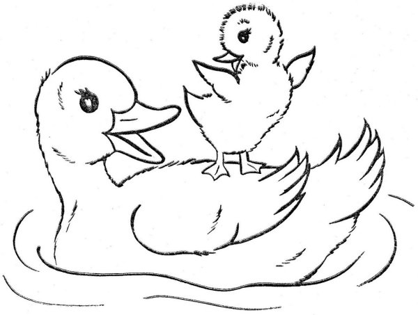 Мама утка раскраска