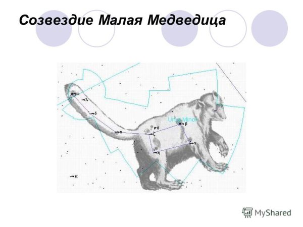 Созвездие большая и малая Медведица схема