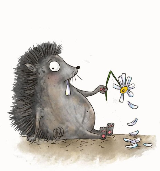 Смешной Ежик