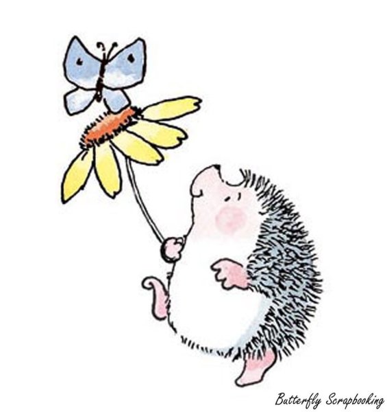 Ёжик летит на Ромашка рисунок