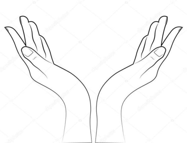 Очертание руки