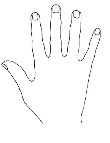 Ладошки для раскрашивания