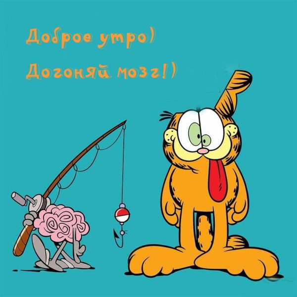 Доброе утро прикол