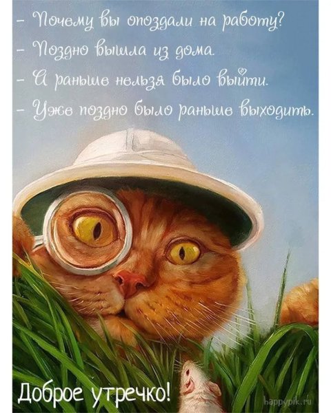 Пожелание доброго утра с юмором