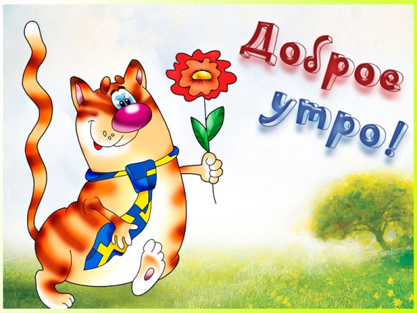 Смешные пожелания доброго утра