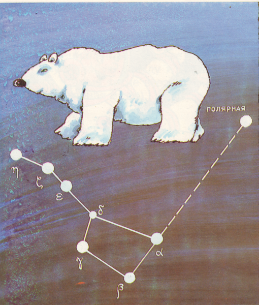 Созвездие большой медведицы и малой медведицы схема