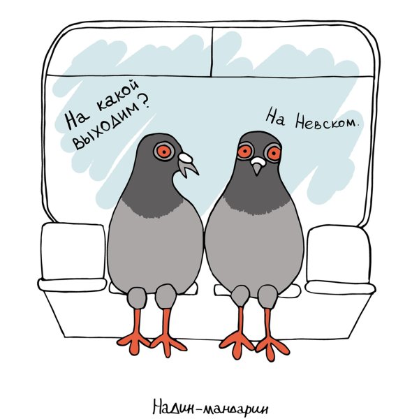 Голубь нарисованный смешной