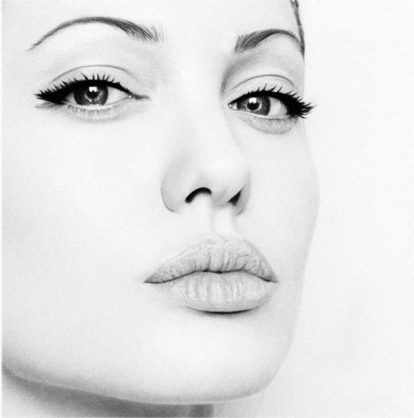 Анджелина Джоли портрет карандашом