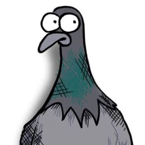 Голубь нарисованный смешной