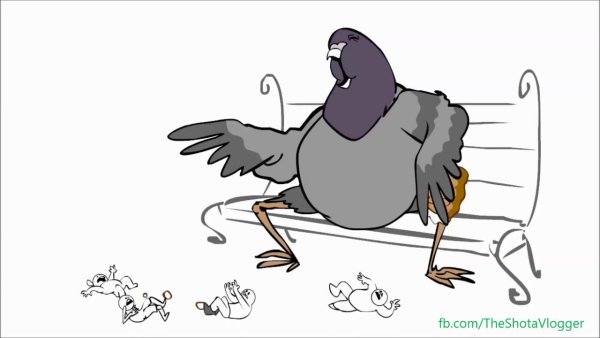 Голубь для срисовки смешной