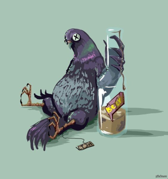 Голубь Наташа