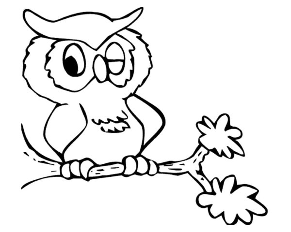 Сова картинка раскраска