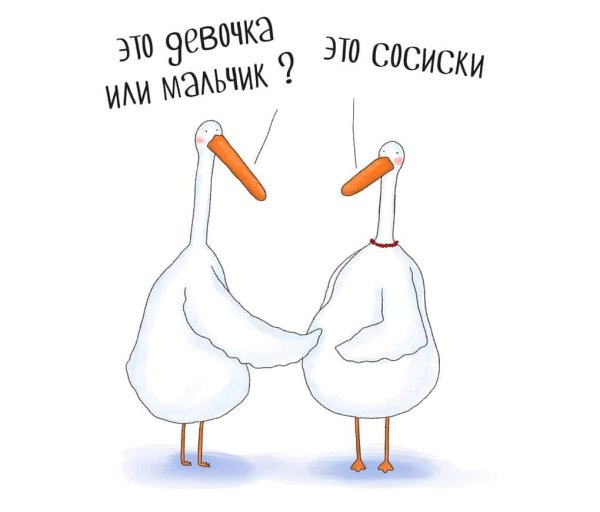 Гусь смешные картинки