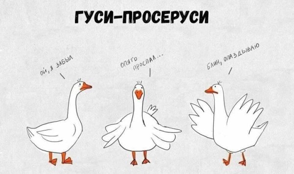 Гусь прикол