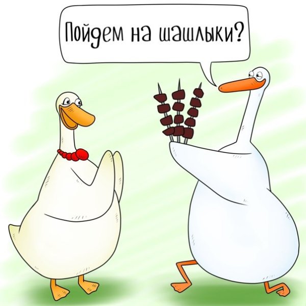 Гусь прикол